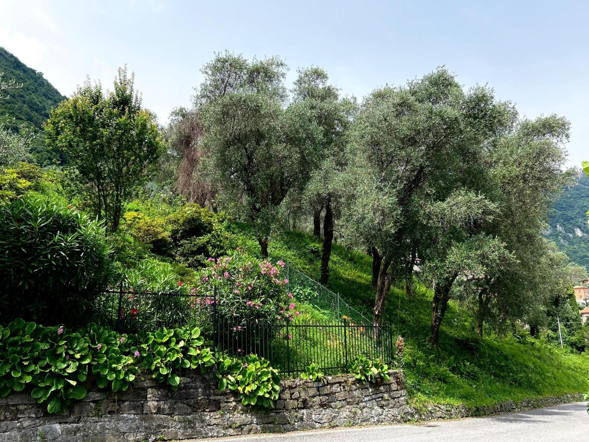 Lakeview Bellagio Apartment Limonta Exterior foto